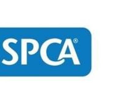 SPCA 1